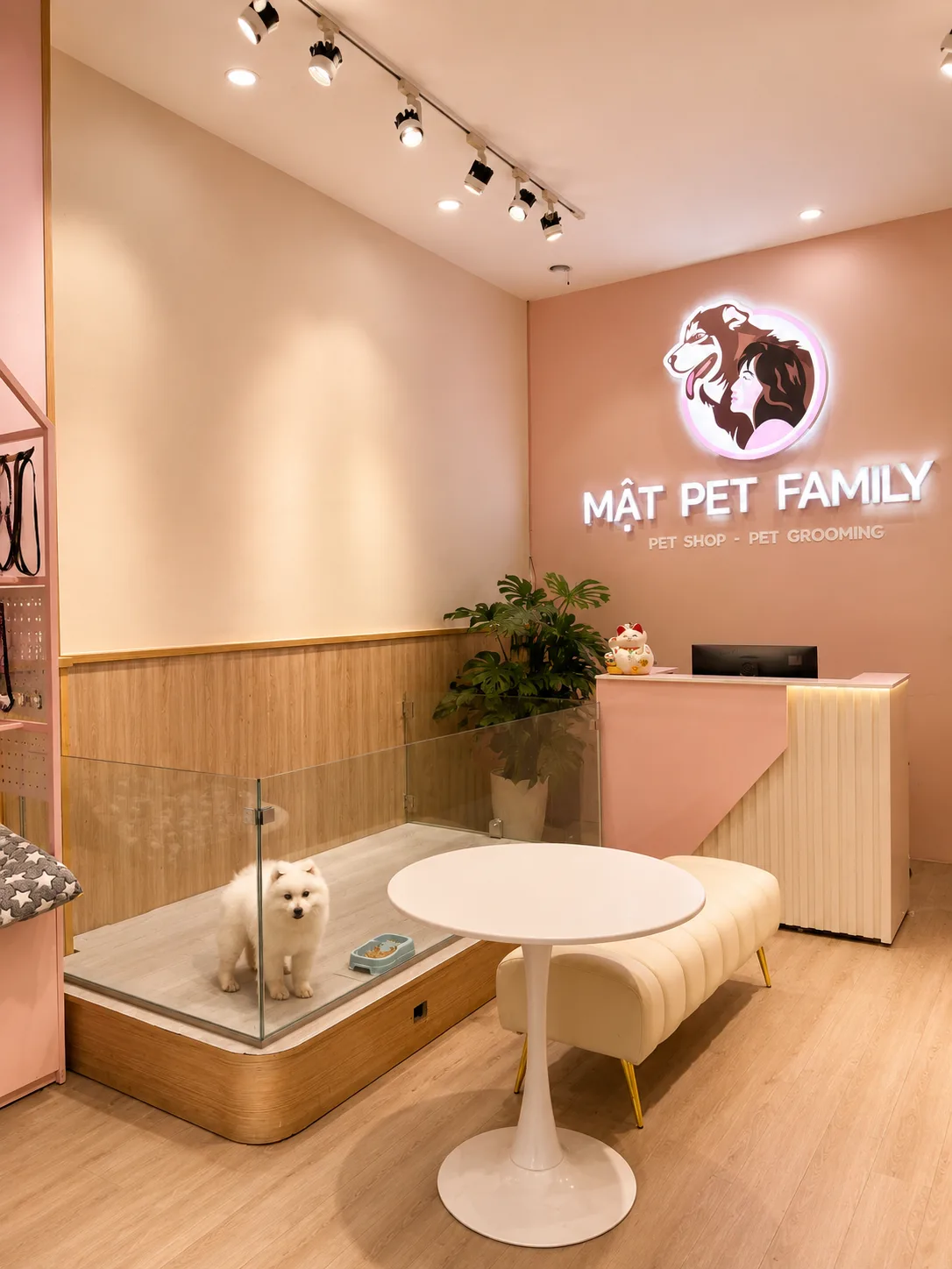 Showroom Mật Pet Family 239 Nguyễn Hồng Đào, Q. Tân Bình, TP.HCM — góc nhìn 3
