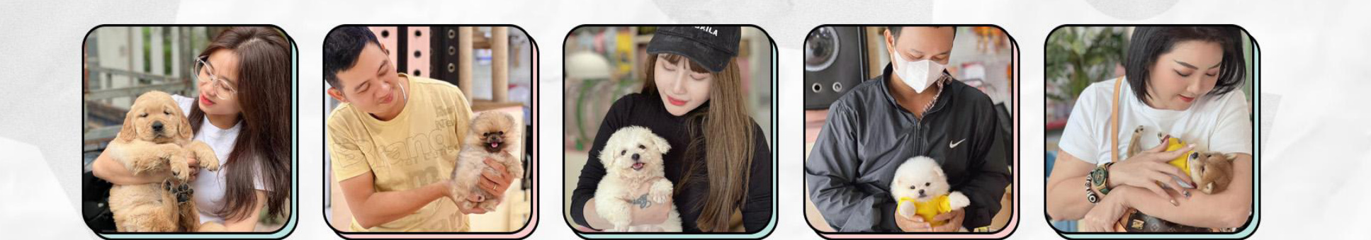 Hàng ngàn gia đình Việt đã đón thú cưng về từ Mật Pet Family