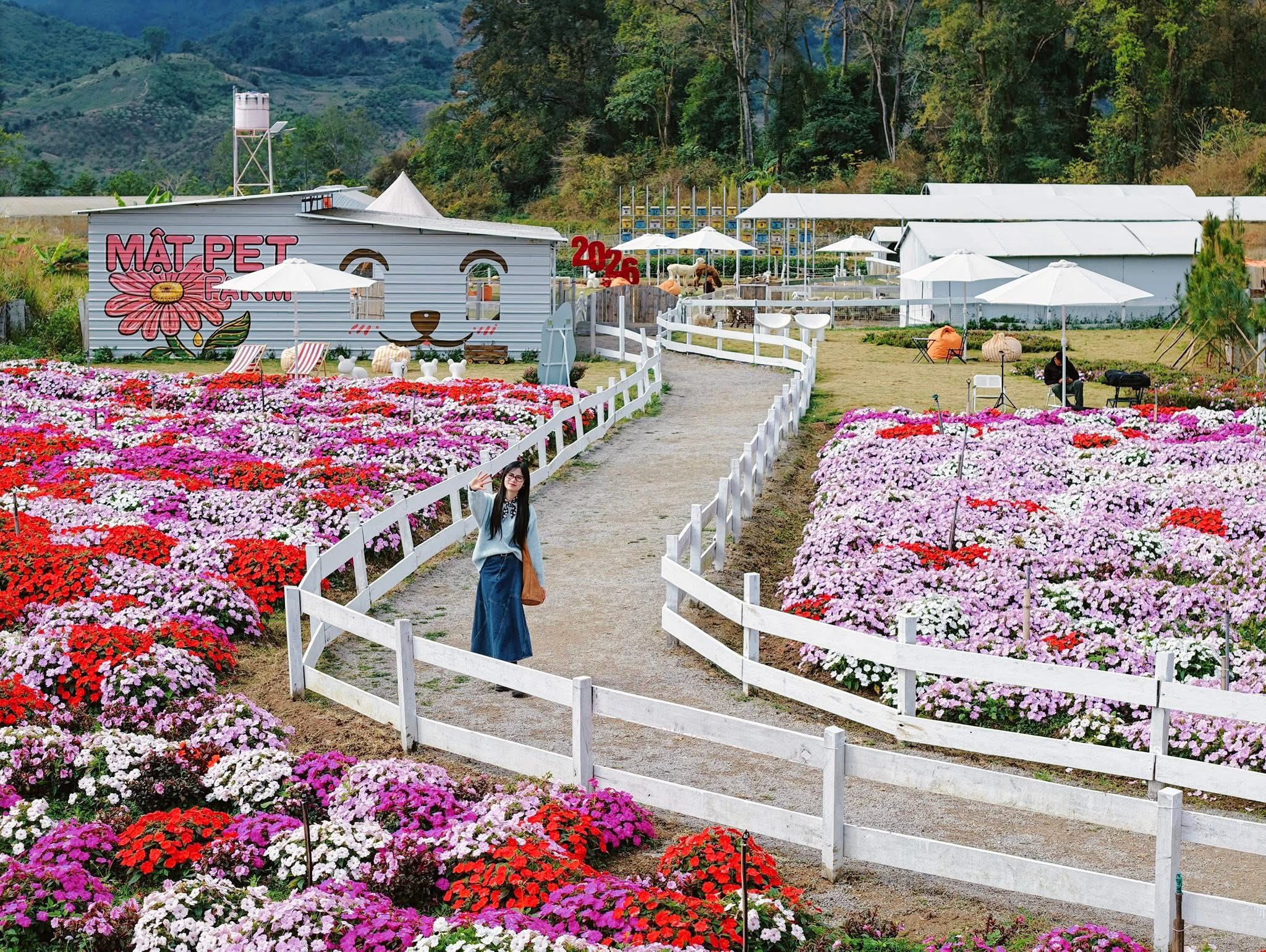 Mộc Châu, Sơn La