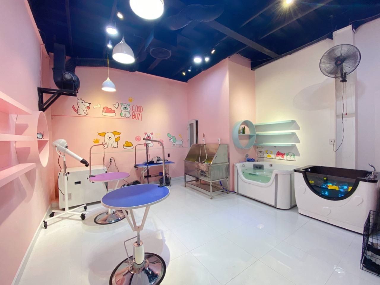 Phòng Spa thú cưng được đầu tư bài bản